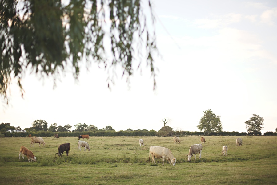 wedding-photographer-priory-barns