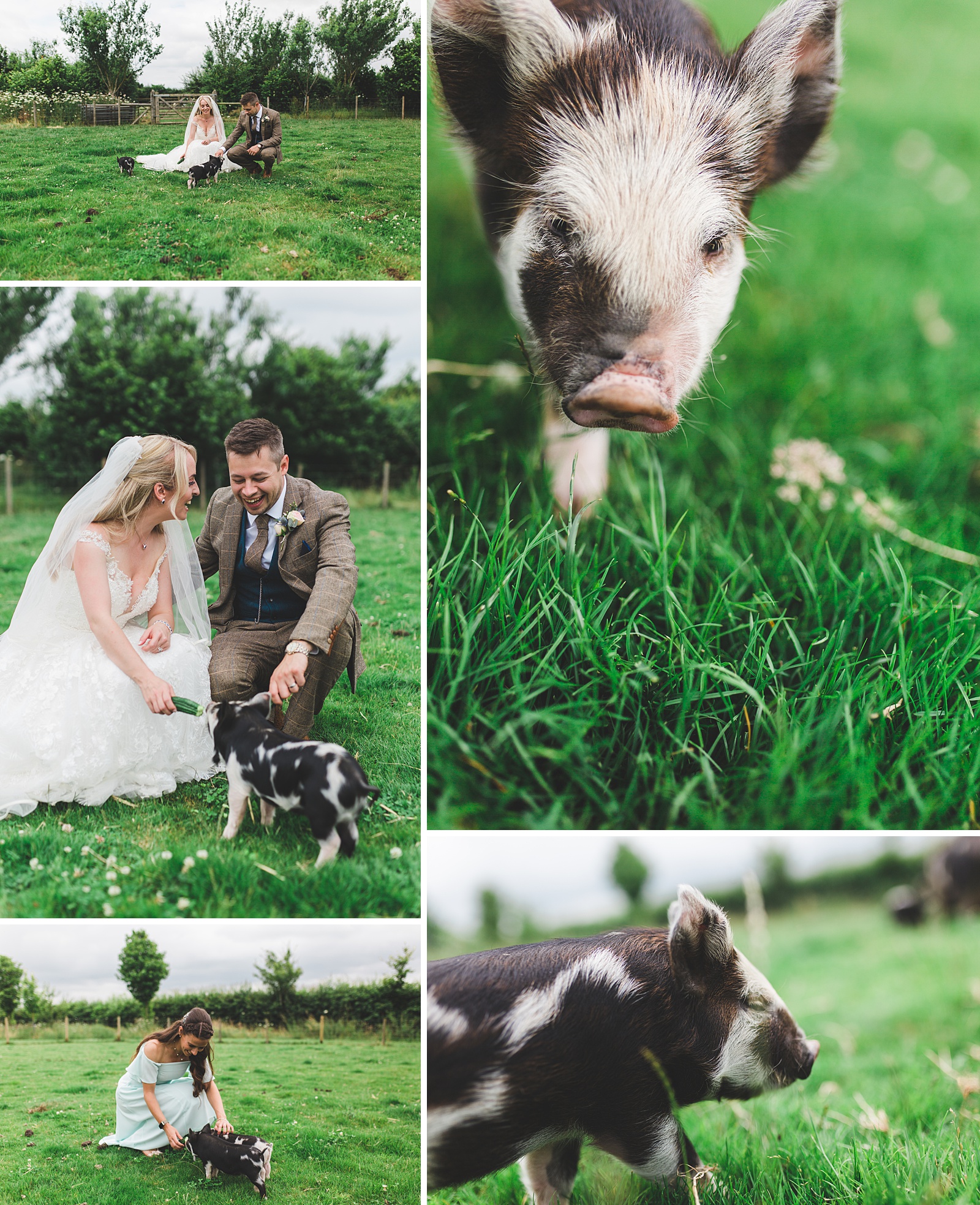 wedding photographer south farm