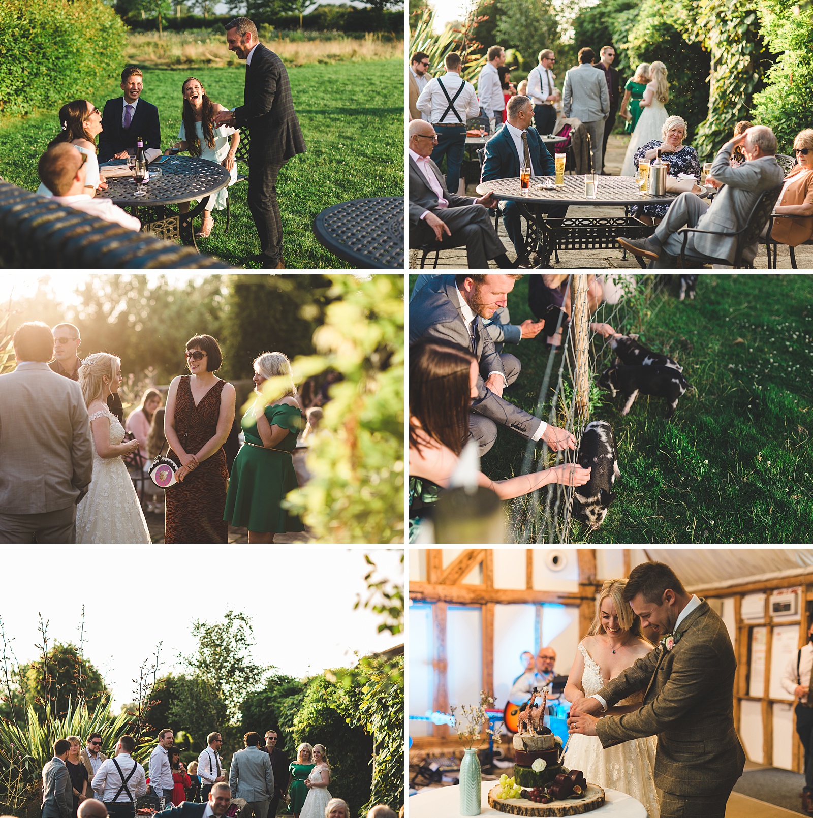 wedding photographer south farm